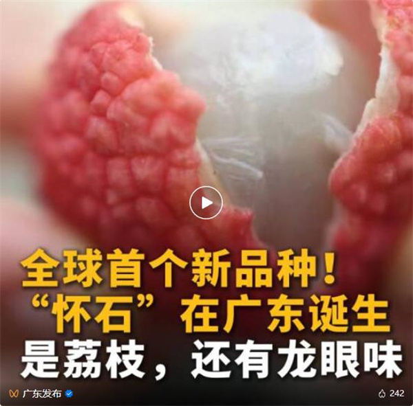 荔枝+龙眼=？全球首个新品种在广东诞生