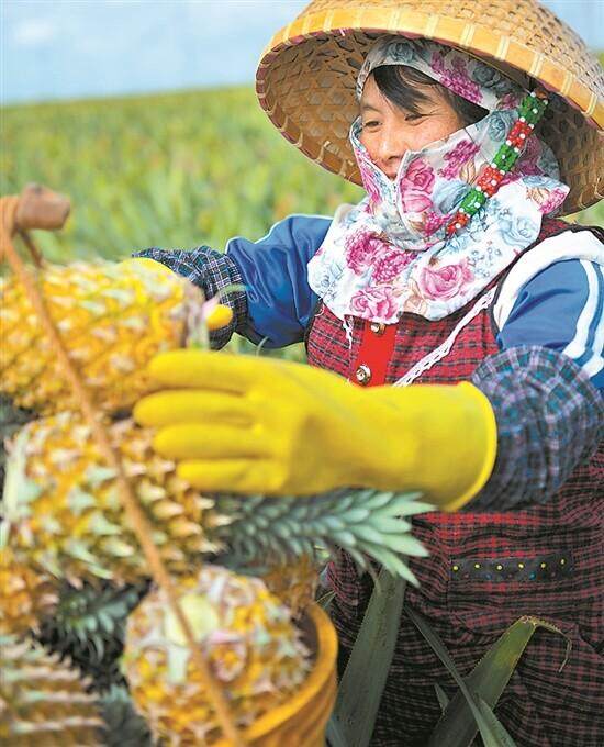 Vibrant Guangdong | Guangdong revitalizes dormant counties with investment and industry