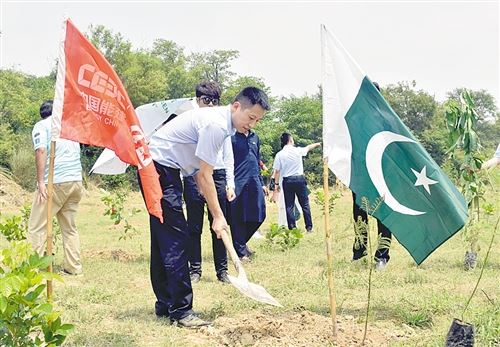 云南完成援助巴基斯坦植树项目