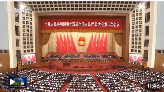 十四届全国人大二次会议举行第二次全体会议 习近平等党和国家领导人出席