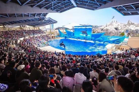 Chinese company to build ocean park in Saudi Arabia