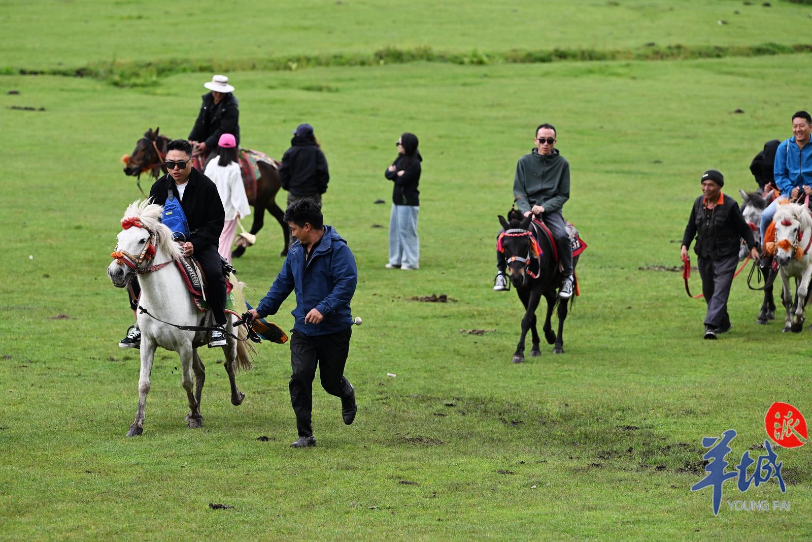 Photos | Guangdong