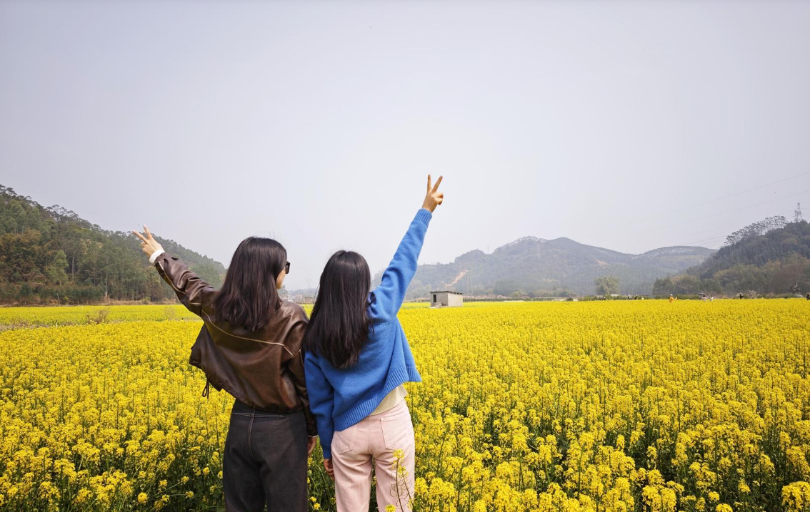 【图集】来清远佛冈，赴一场春日油菜花海之