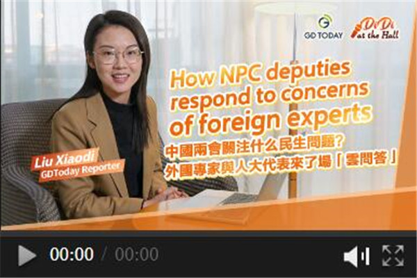 Didi at the Hall | How NPC deputies respond to concerns of foreign experts