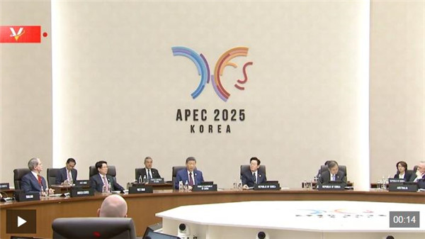 独家视频丨习近平继续出席亚太经合组织第三十二次领导人非正式会议
