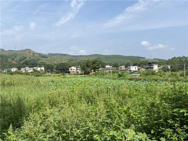 山水有根，鄉愁有聲——寫給韶關