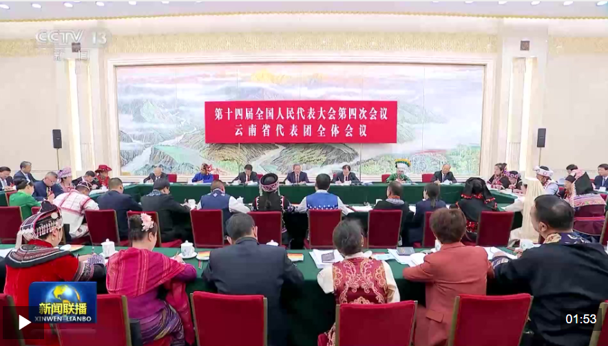 李强参加云南代表团审议