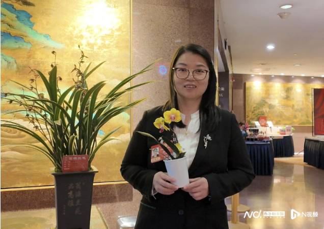 携“土特产”赴盛会，人大代表讲述广东乡村振兴“破土”之路