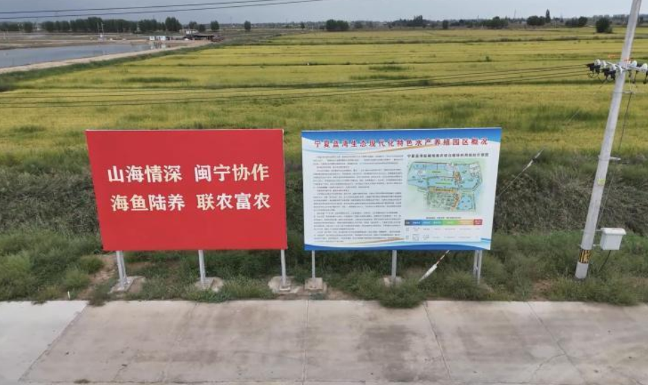 山海之间丨“种啥啥不长”的戈壁滩成功实现海鱼陆养