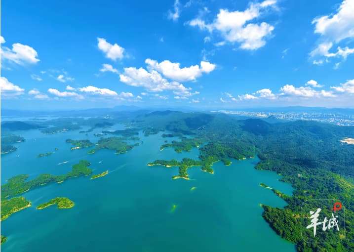 浊清之间 水乡归来 龙舟竞渡见证广东二十余载治水攻坚