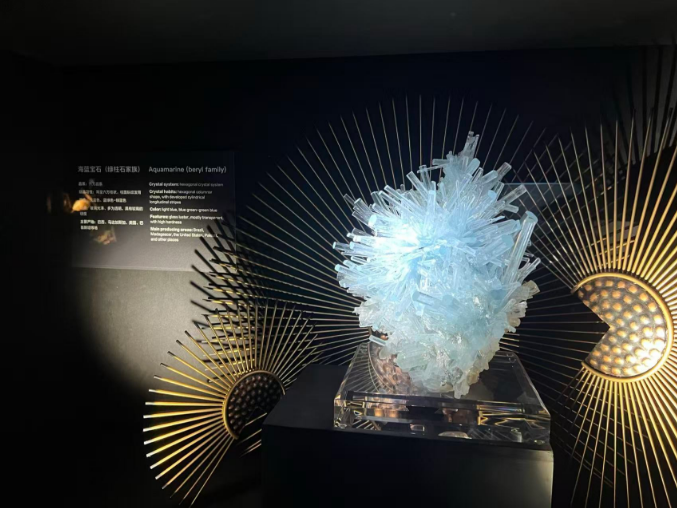 「2025世界華文媒體社長總編輯深圳行」走進深圳珠寶博物館  感受物華天寶帶來的藝術魅力