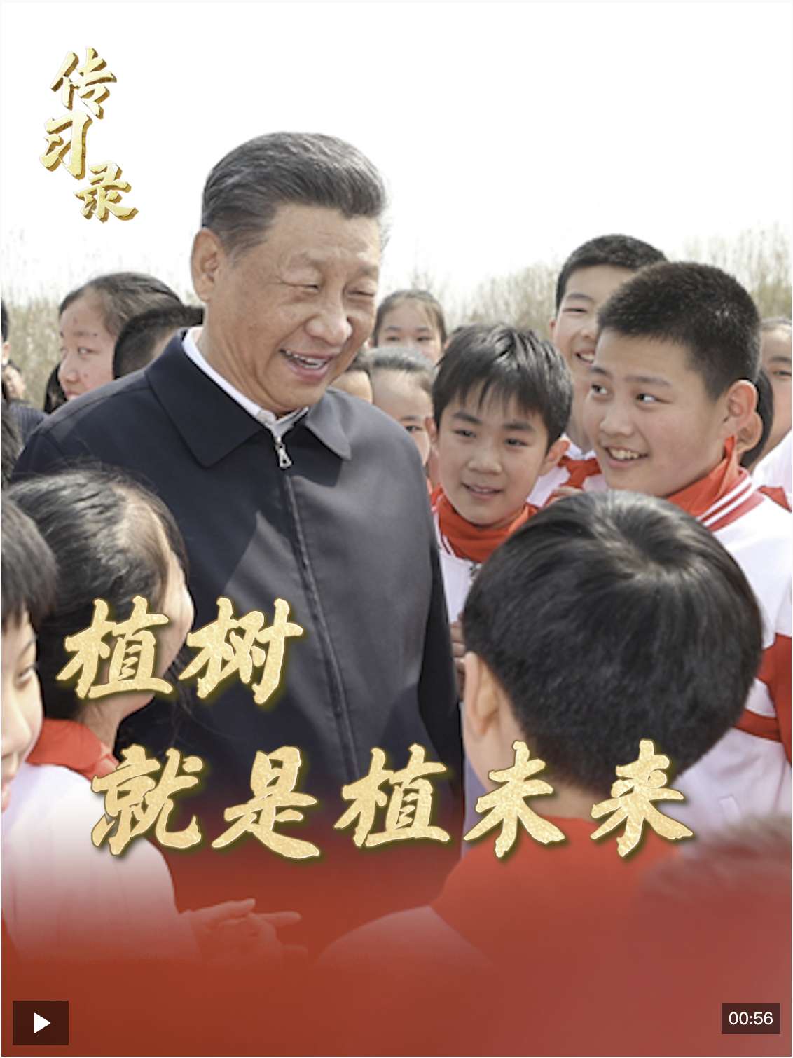 传习录丨种下的是树苗，也是祖国的美好未来