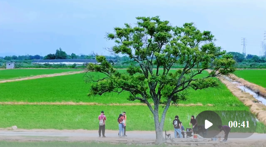 跟着电影《给阿嬷的情书》，打卡潮汕同款烟火 | 南方+拍客看广东