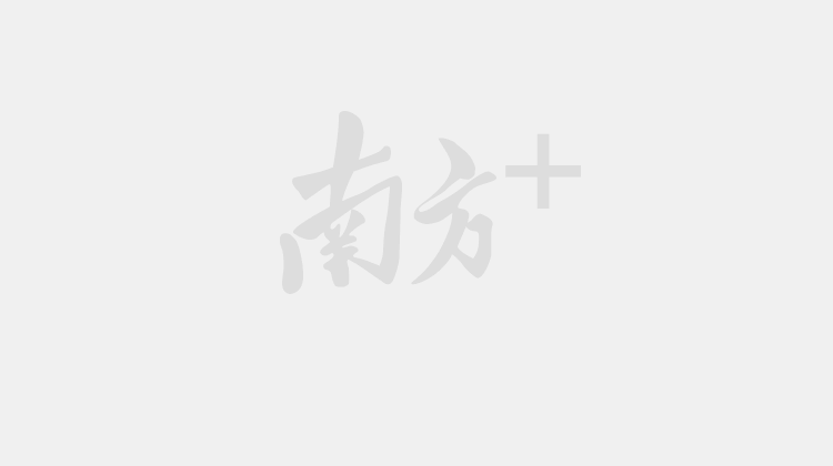 2026“全球作家写广东”计划深圳启幕，APEC成员国作家开启岭南行